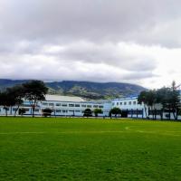 Estadio